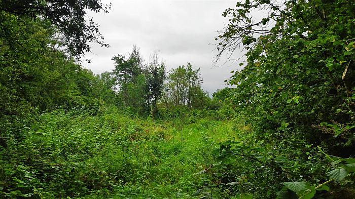 Land situated at Ballycregagh Upper, Fivey Rd, Stranocum