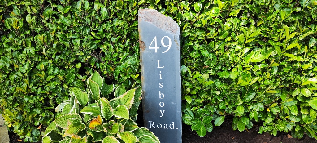 49 Lisboy Road